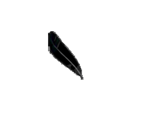 Loading image. Please wait